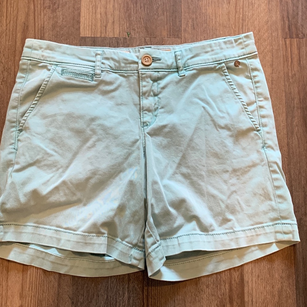 Anthropologie Pilcro and the letterpress hyphen fit shorts. Worn 2x